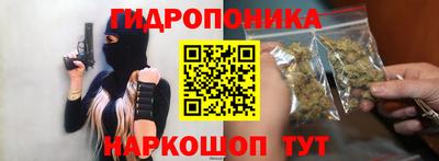 ГАЛЛЮЦИНОГЕННЫЕ ГРИБЫ Канаш