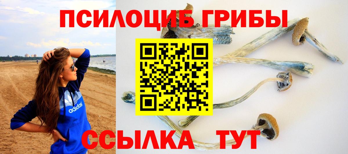 Псилоцибиновые грибы Cubensis  Вход с VPN  Псилоцибиновые грибы GOLDEN TEACHER  Лесной 